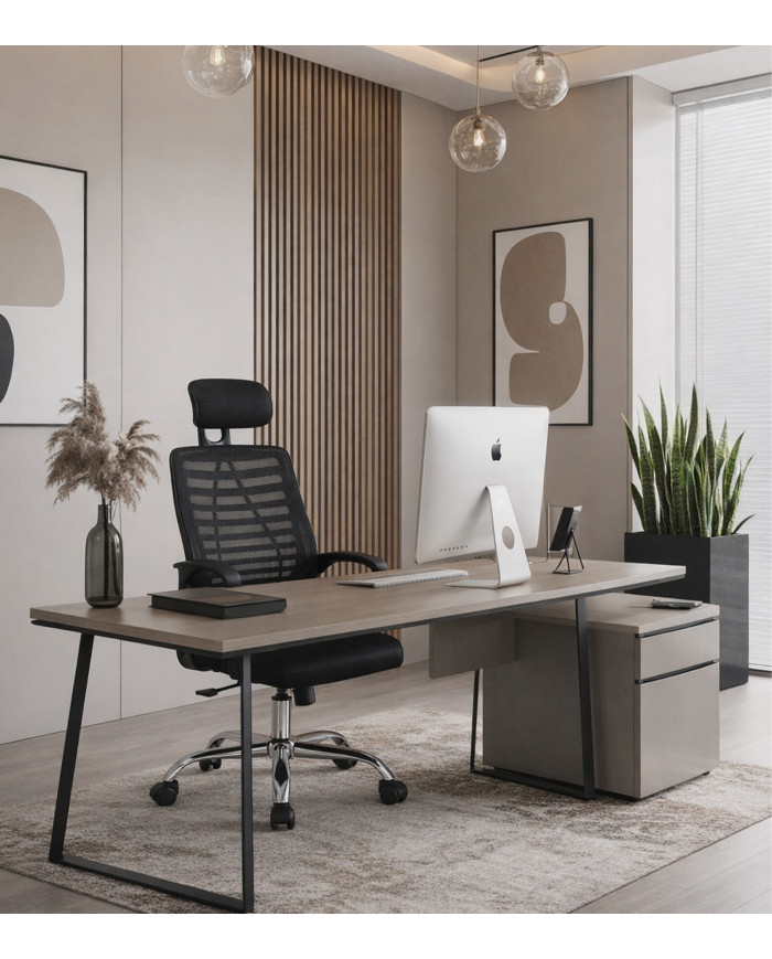 Silla de escritorio Queny ergonómica con reposacabezas