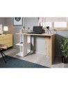 Mesa escritorio industrial con estantería TOKIO II