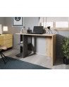Mesa escritorio industrial con estantería TOKIO II