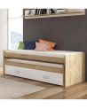 Cama compacta CHASE con cama extra + 2 cajones